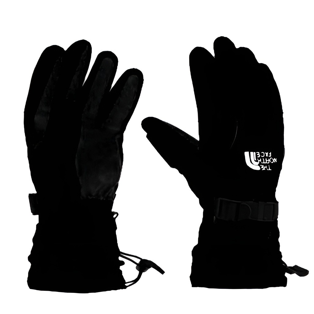 دستکش کوهنوردی اورجینال دوپوش و ضد آب نورث فیس GORETEX(و خرید قسطی)